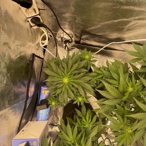 Babys try one growlog timeline photo