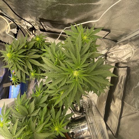 Babys try one growlog timeline photo