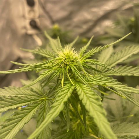 Babys try one growlog timeline photo