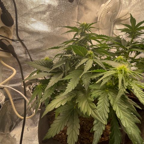 Babys try one growlog timeline photo