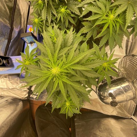 Babys try one growlog timeline photo
