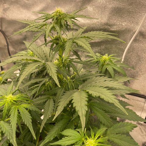 Babys try one growlog timeline photo