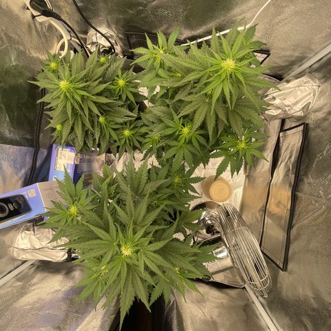 Babys try one growlog timeline photo