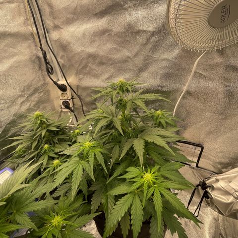 Babys try one growlog timeline photo
