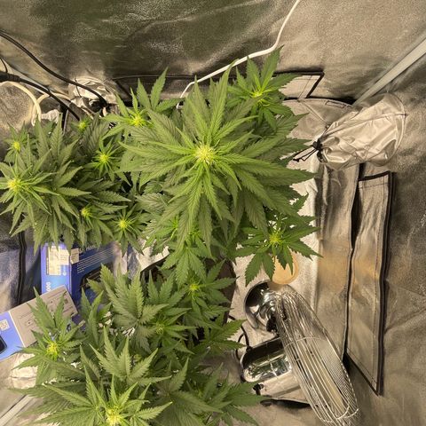 Babys try one growlog timeline photo