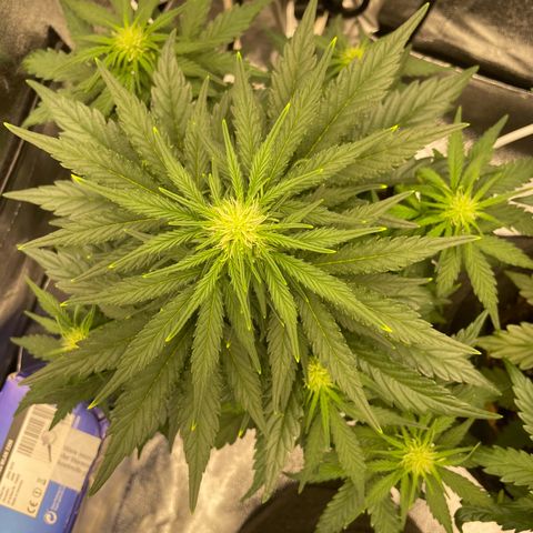 Babys try one growlog timeline photo