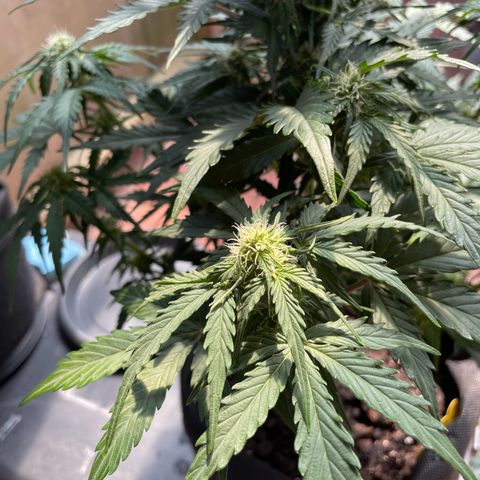 Babys try one growlog timeline photo