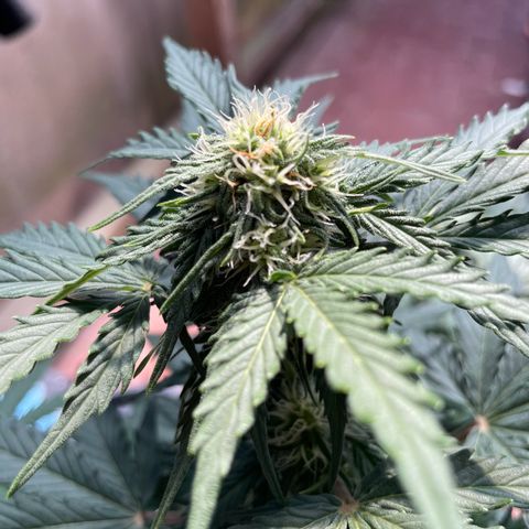 Babys try one growlog timeline photo