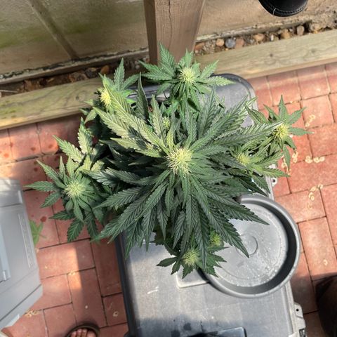 Babys try one growlog timeline photo
