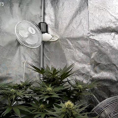 Babys try one growlog timeline photo