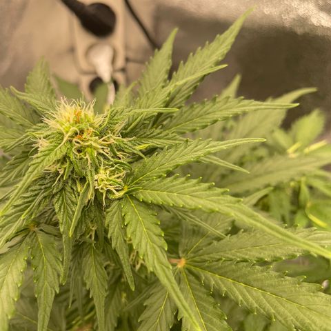 Babys try one growlog timeline photo