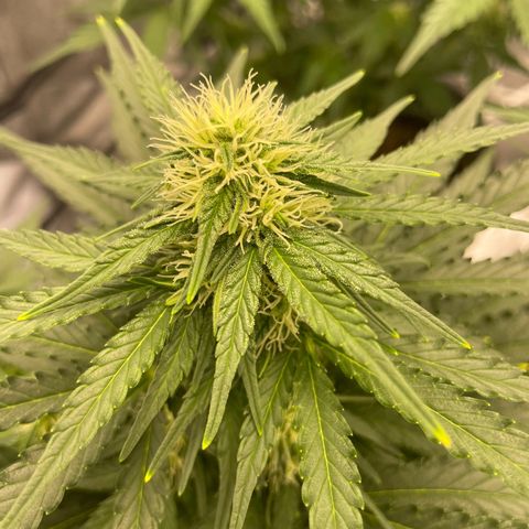 Babys try one growlog timeline photo
