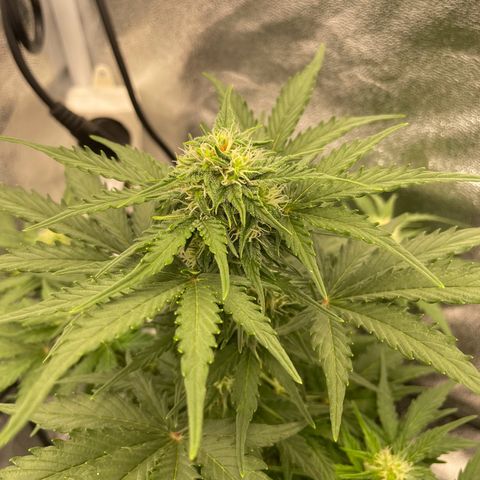Babys try one growlog timeline photo