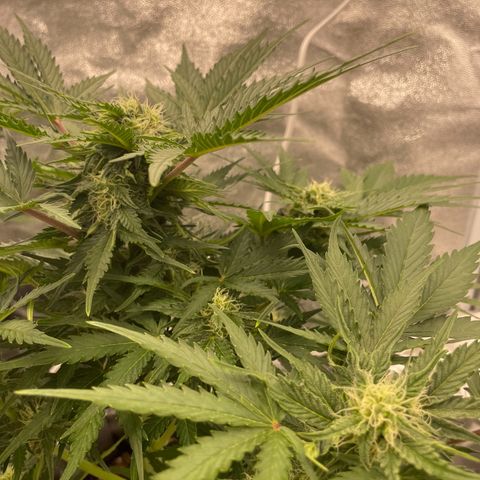 Babys try one growlog timeline photo