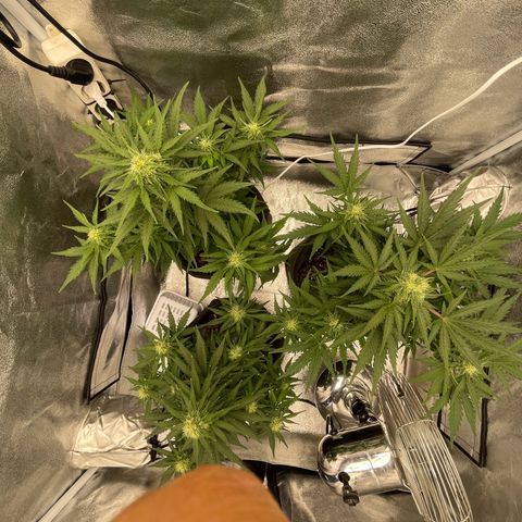Babys try one growlog timeline photo