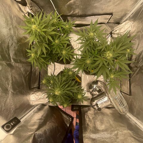 Babys try one growlog timeline photo