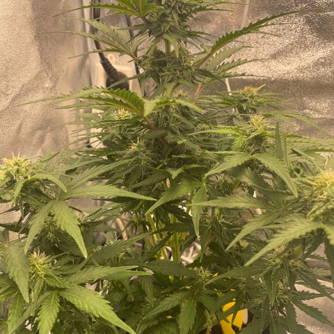 Babys try one growlog timeline photo