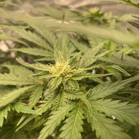 Babys try one growlog timeline photo