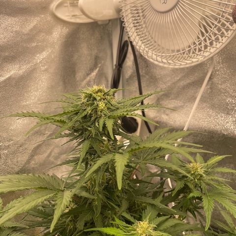 Babys try one growlog timeline photo