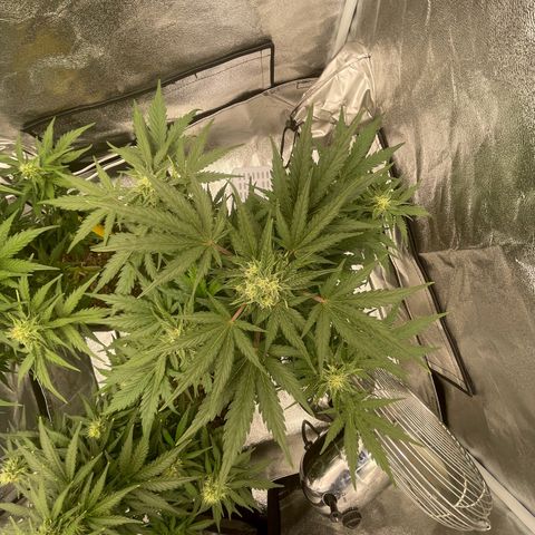 Babys try one growlog timeline photo