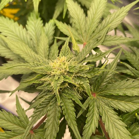 Babys try one growlog timeline photo