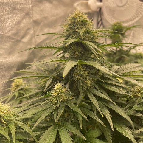 Babys try one growlog timeline photo