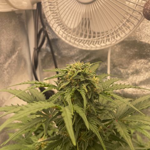 Babys try one growlog timeline photo