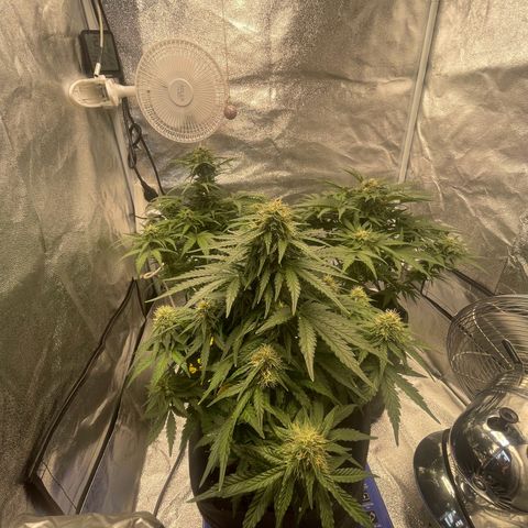Babys try one growlog timeline photo