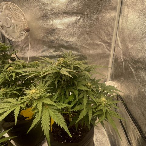 Babys try one growlog timeline photo