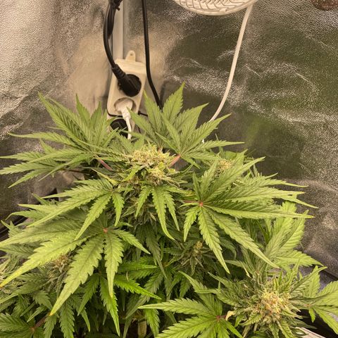 Babys try one growlog timeline photo