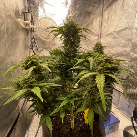 Babys try one growlog timeline photo