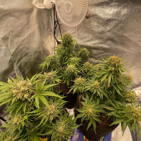 Babys try one growlog timeline photo