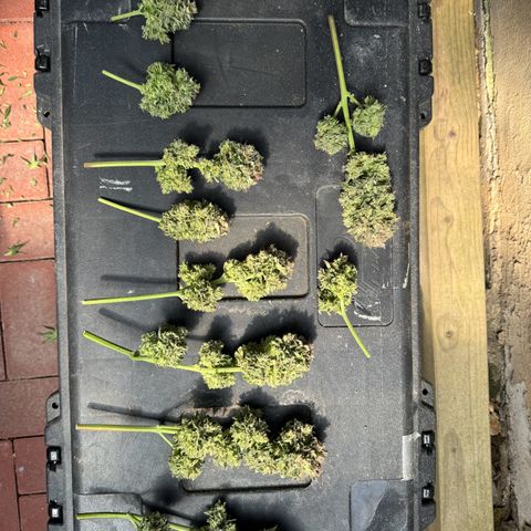 Babys try one growlog timeline photo
