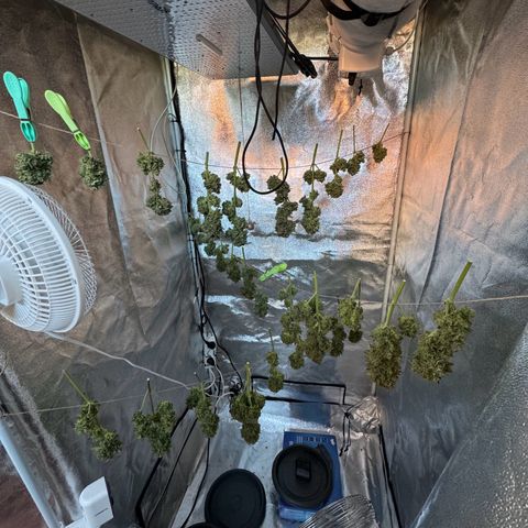 Babys try one growlog timeline photo