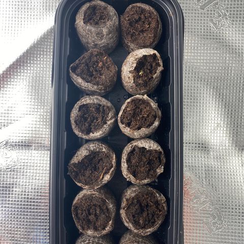 H growlog photo