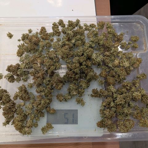 Fruit Spirit (RQS) growlog photo: 2x50g