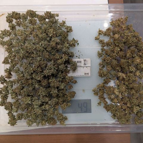 Fruit Spirit (RQS) growlog photo: 2x50g