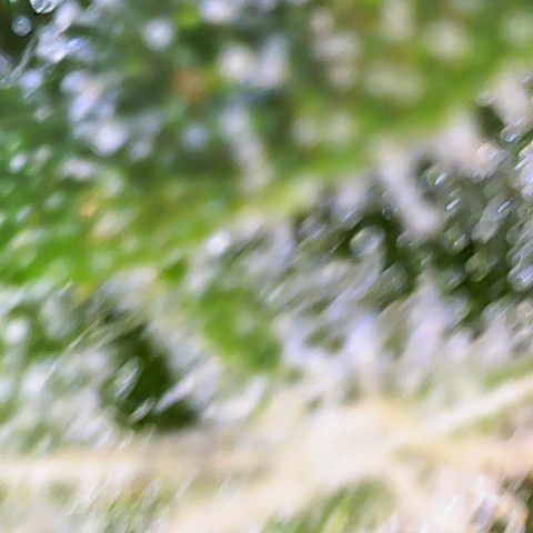 Franziska growlog timeline photo