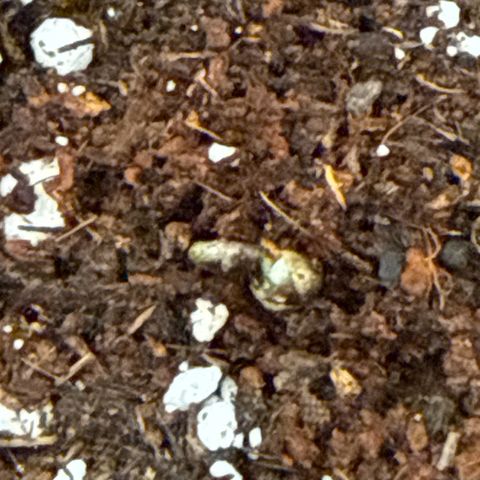 Jenni growlog timeline photo
