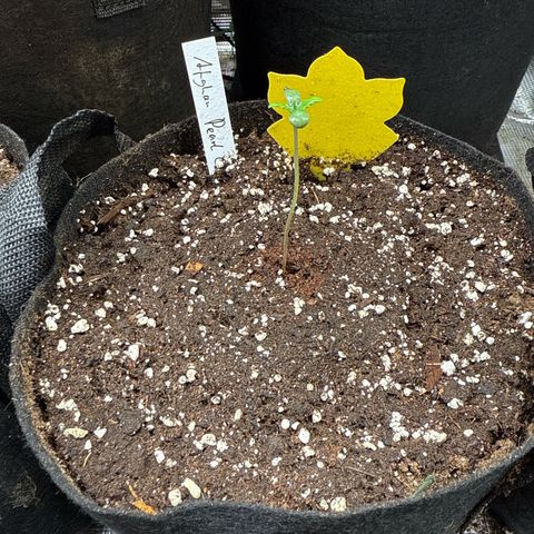 Jenni growlog timeline photo