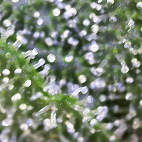 Helga growlog timeline photo