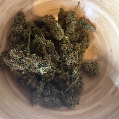 Jenni growlog timeline photo