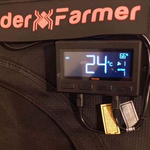 Purple Lemonade growlog photo: Die großen Blätter habe ich alle abgestutz, bis nur noch die Bud's und paar wenige kleine Blätter dran sind. Getrocknet soll im Zelt werden und die Temperatur soll noch auf 20° reguliert werden.