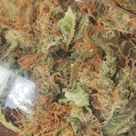 Purple Lemonade growlog timeline photo