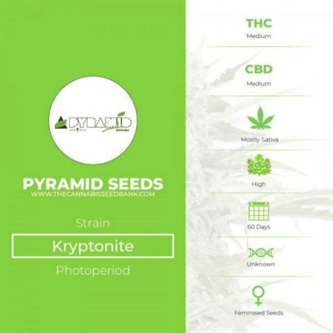 Kryptonite (Pyramid Seeds) growlog timeline photo
