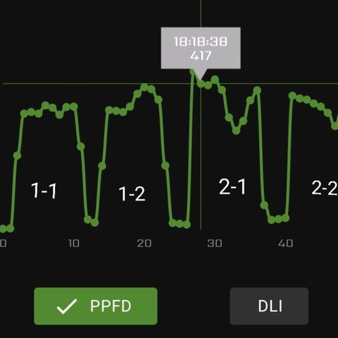 Amnesia Auto growlog timeline photo