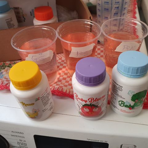 Amnesia Auto growlog photo: Fertilizantes