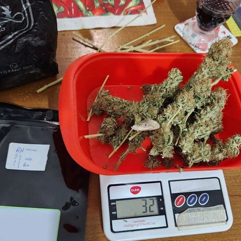Royal Highness growlog photo: 32g