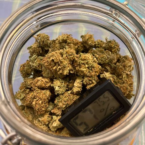 Crinkle growlog timeline photo