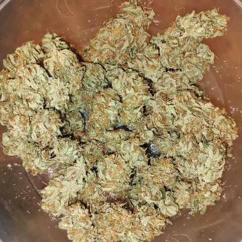 Durban Poison growlog timeline photo